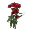 Chrysanthemum Spray Red