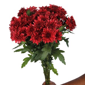 Chrysanthemum Spray Red