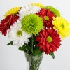 Chrysanthemum Spray Mix