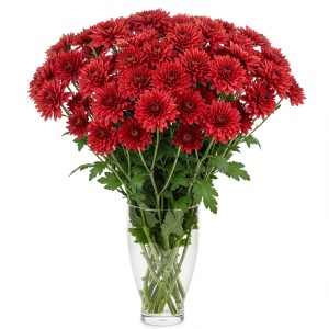 Chrysanthemum Spray Red