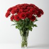 Chrysanthemum Spray Red