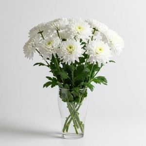 Chrysanthemum Spray White
