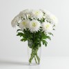 Chrysanthemum Spray White