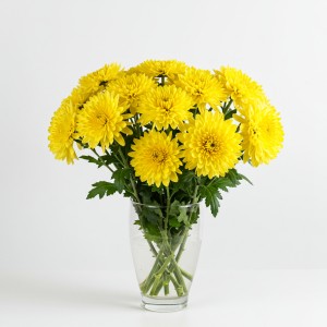 Chrysanthemum Spray Yellow