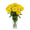 Chrysanthemum Spray Yellow