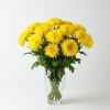 Chrysanthemum Spray Yellow