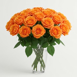 Orange Roses