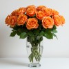 Orange Roses