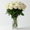 White Roses