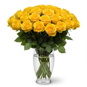 Yellow Roses