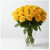 Yellow Roses