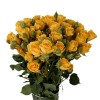 Yellow Spray Roses