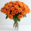 Orange Roses Bouquet