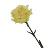 Carnation Yellow