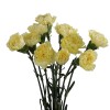 Carnation Yellow