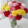 Carnation Mix