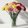 Carnation Mix
