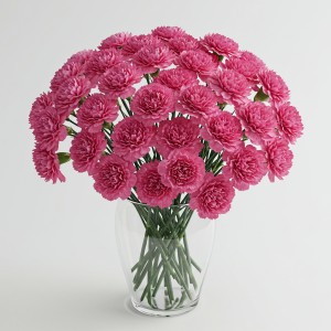 Carnation Pink